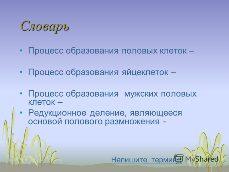 Узорова нефедова 2 класс математика
