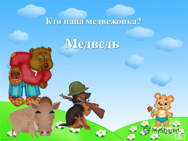 Секс Душ Папа Медведь