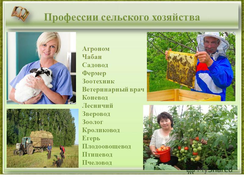 Профессии связанные с птицами Профессии связанные с птицами