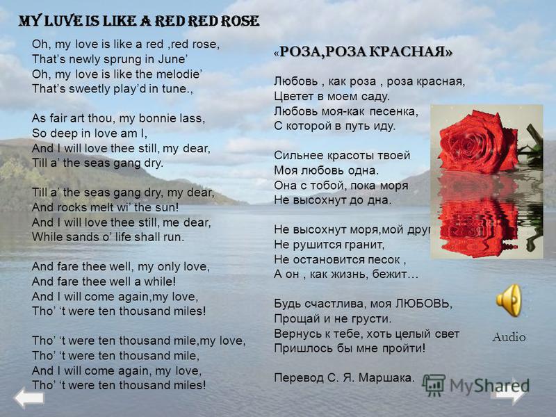 a red red rose a red red rose