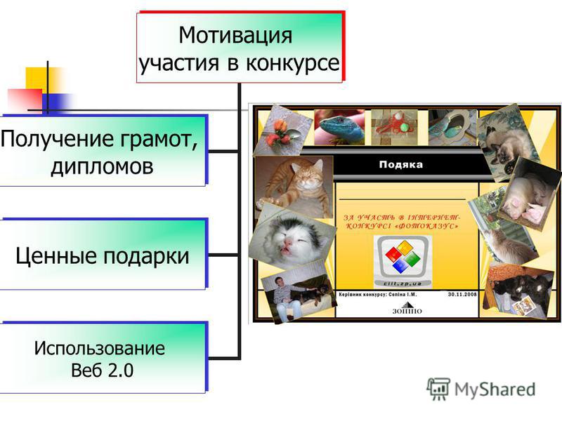 Мотивация в участию в конкурсе Мотивация в участию в конкурсе