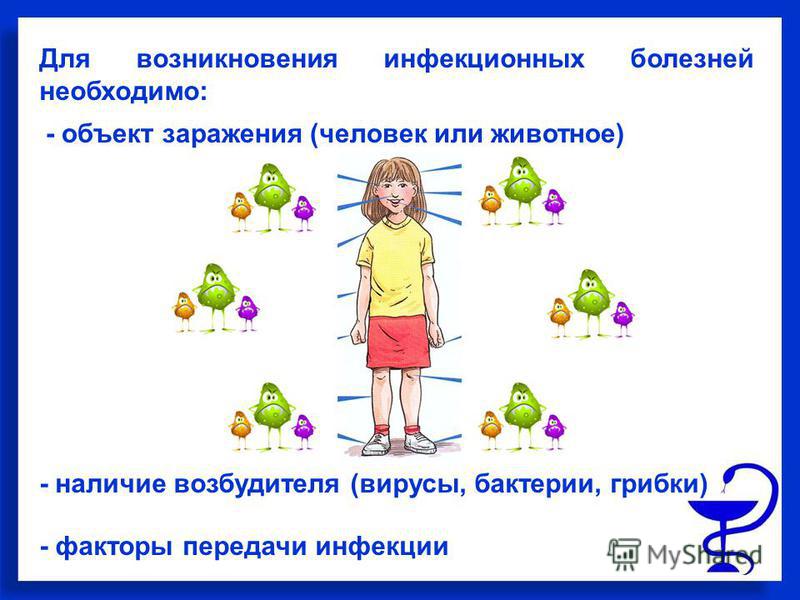 Доклад по теме Профилактика зооантропонозных заболеваний у человека