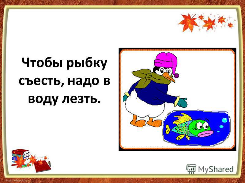 Бездомный кот Батон из Новосибирска 8 лет живет с пулями в теле Ателье по пошиву одежды у метро ВДНХ в Москве - адреса и отзывы про