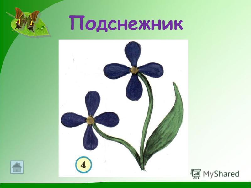 Сердце своими руками 2013 Сердце своими руками 2013