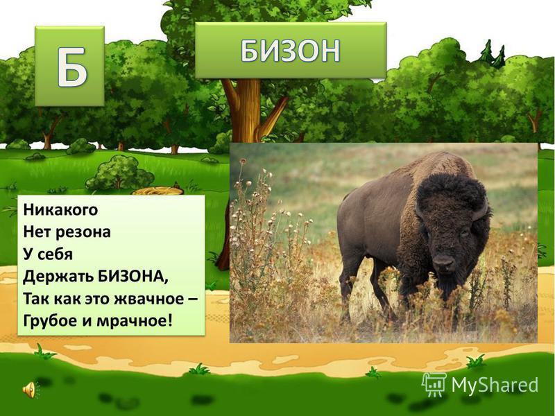 Плакат для презентации себя Плакат для презентации себя