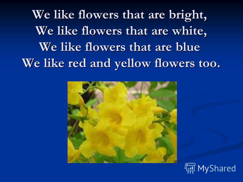 We like flowers that are bright, We like flowers that are white, We like flowers that are blue We like red and yellow flowers too.