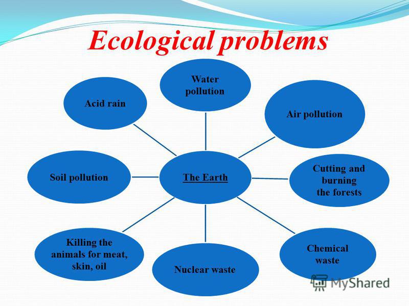 solutions to ecological problems essay solutions to ecological problems essay