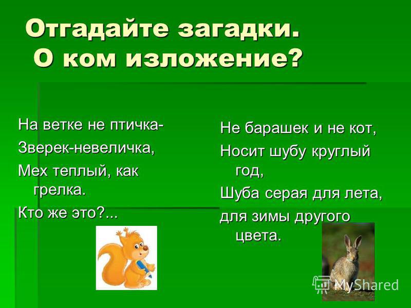 Русский Язык 2 Класс Сочинение Про Зайца Русский Язык 2 Класс Сочинение Про Зайца