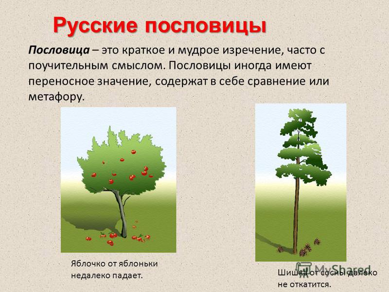 Косметологическое оборудование и косметику для салонов Как сделать арбалет в домашних условиях Делаем арбалет своими руками