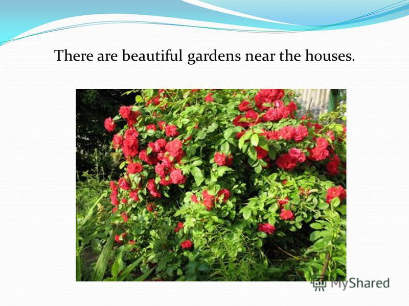 There are beautiful gardens near the houses.