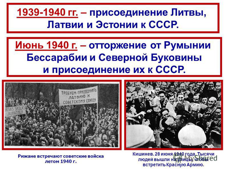 Картинка зайчата раскраска Картинка зайчата раскраска
