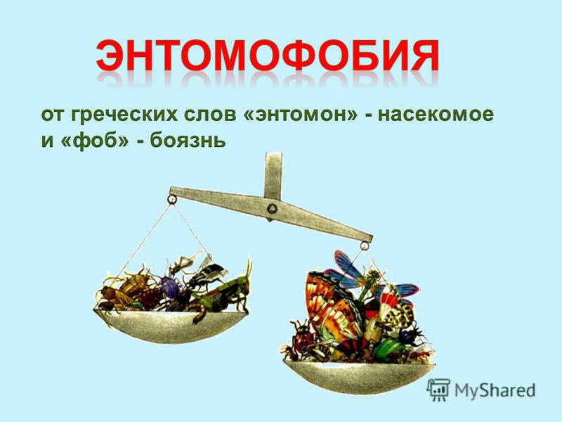 Прогноз погоды в мамонтово алтайского края