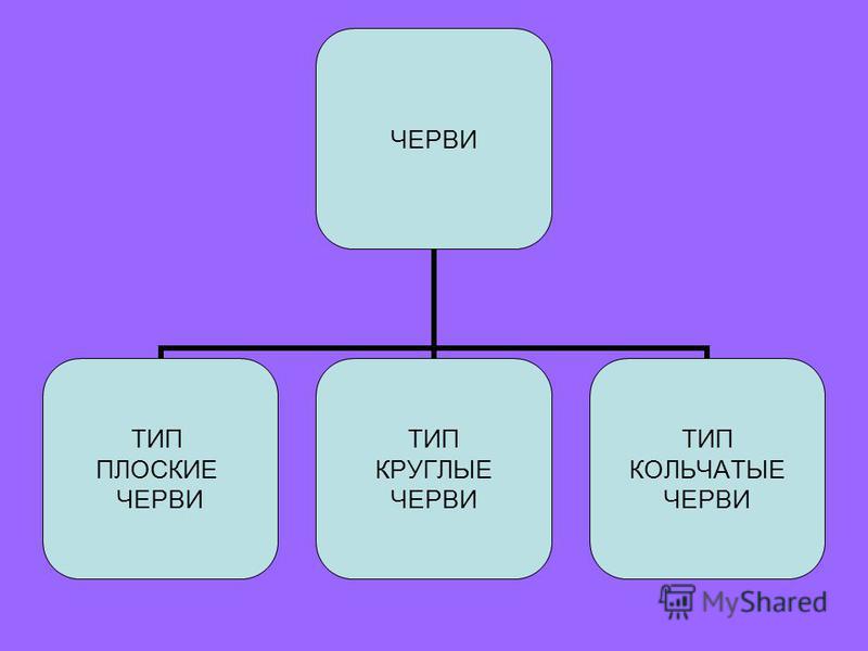 Школьный мир ОБЩЕЕ ОБРАЗОВАНИЕ