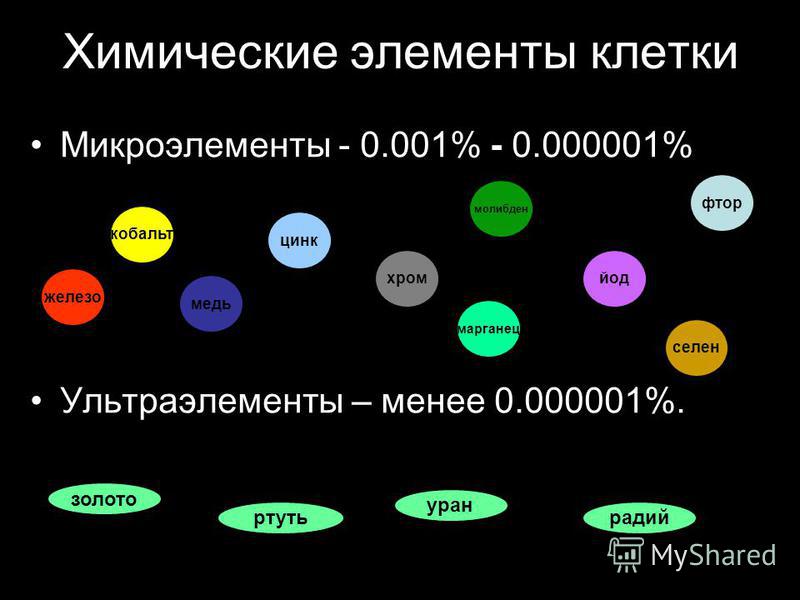 Лукреций о Природе Вещей скачать