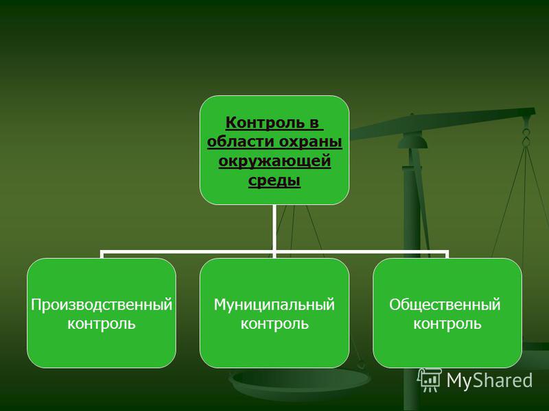 Разработка проектов по охране окружающей среды Экологический контроль презентация фото HobbiArt.ru