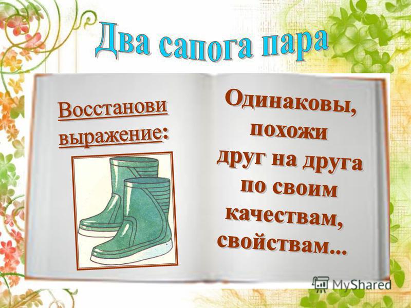 Два сапога пара пример