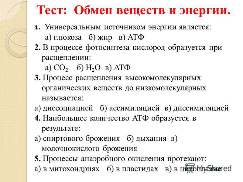 Учитель биологии высшей категории м с гекалюк тесты 9 класс