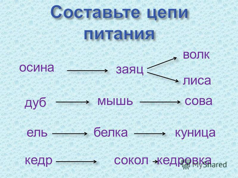 Какая Из Цепей Питания Указана Правильно