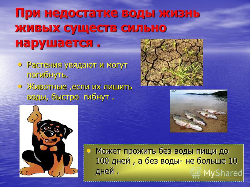 Всё что связано с водой 3 класс Всё что связано с водой 3 класс