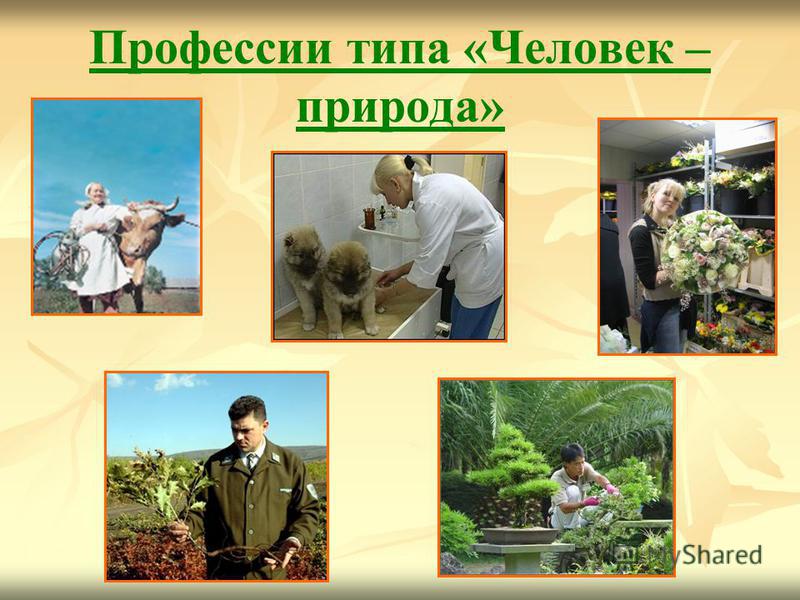 Какие есть профессии связанные с природой Какие есть профессии связанные с природой