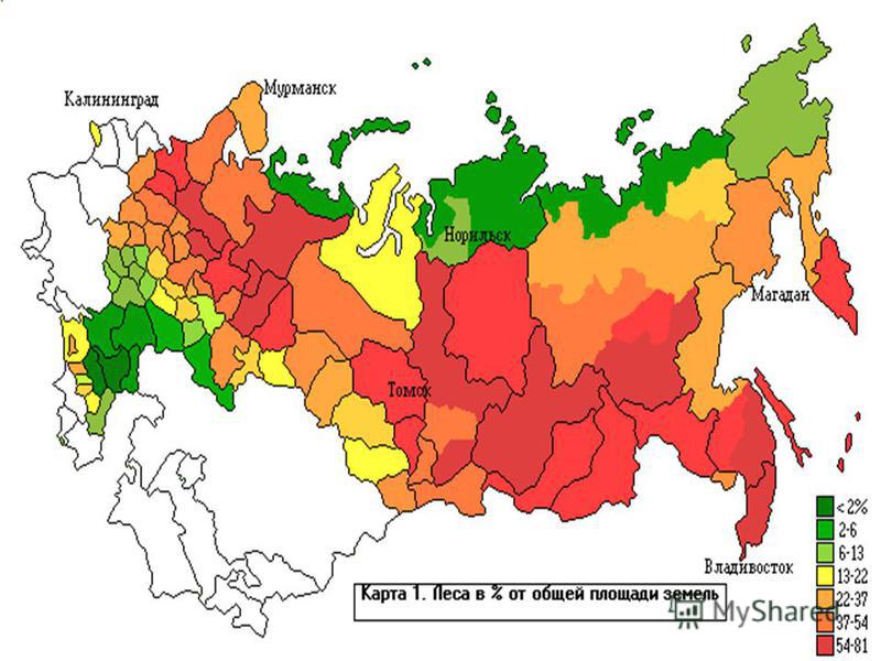 Реферат: Лесная промышленность Российского Дальнего Востока
