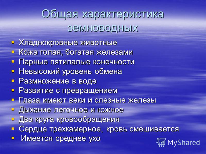 Класс земноводные или амфибии общая характеристика 7 класс презентация