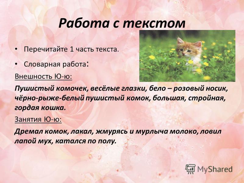 Изложение по русскому языку на тему глаза животных 7 класс