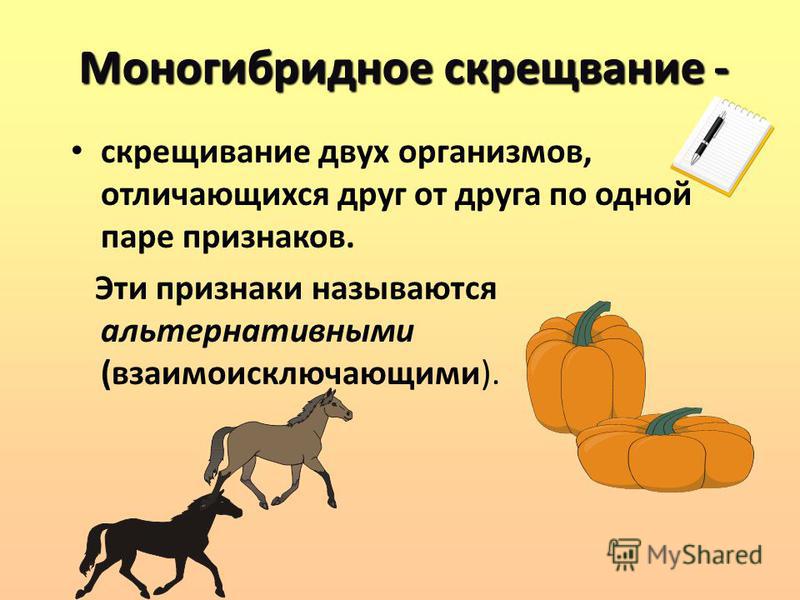 Моногибридное Скрещивание Определение