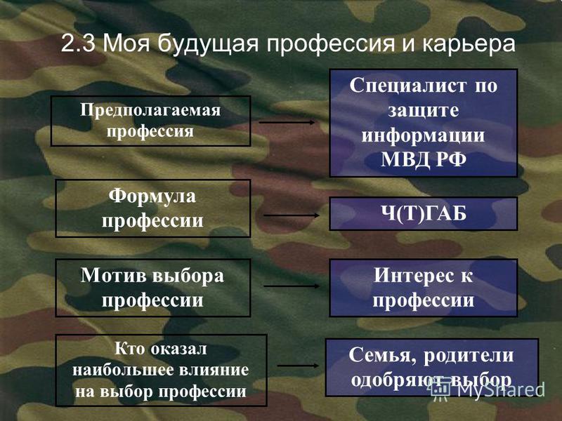 Профориентационный проект "Моя будущая профессия ПОЛИЦЕЙСКИЙ" Учащиеся школ Ново
