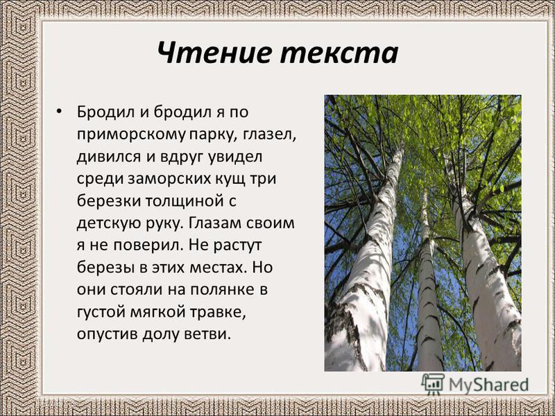 Контрольное изложение березы 9 класс