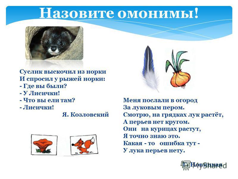 Меня послали в огород Меня послали в огород