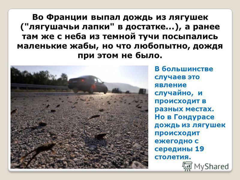 Полопались капилляры на коже Полопались капилляры на коже