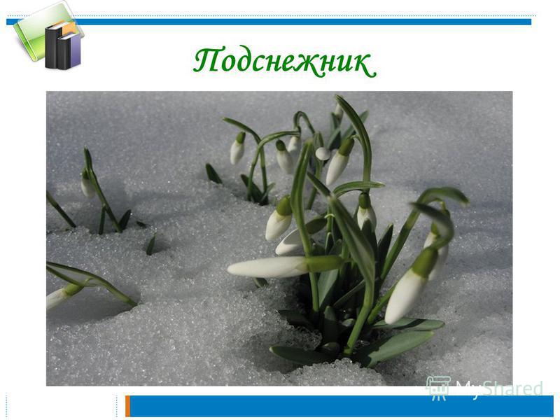 Пословицу со словом медведь Пословицу со словом медведь
