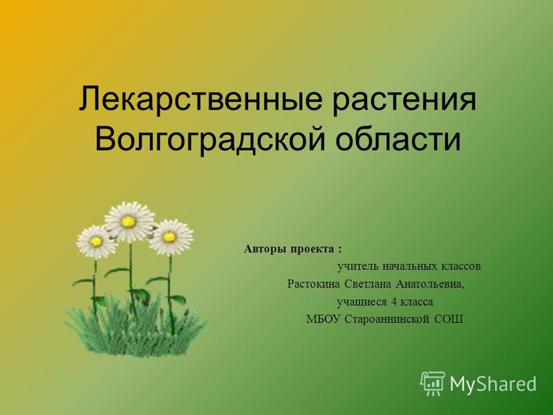 Курсовая работа: Лекарственные растения Джанкойского района