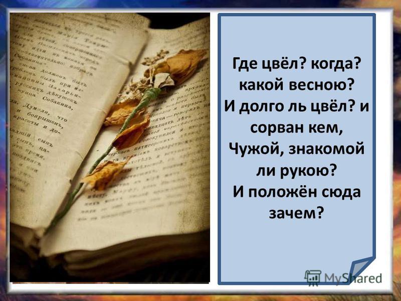 А.пушкин-цветок о чём стих А.пушкин-цветок о чём стих