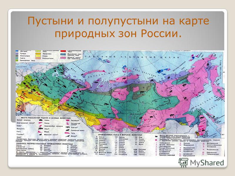 Полупустыни на карте - Basanova.ru