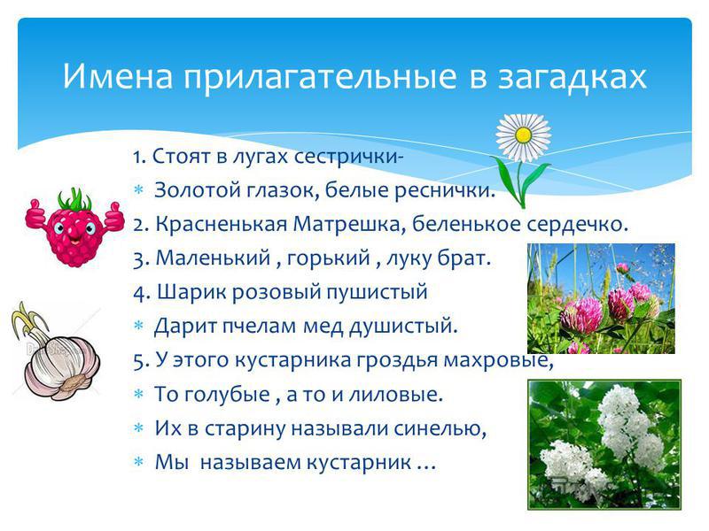 Загадки по именам прилагательных Загадки по именам прилагательных