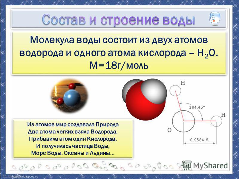 одуванчики в графике черно-белый рисунок