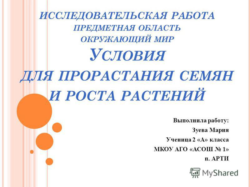 Наши проекты разнообразие природы родного края - Проект по окружающему миру 3 кл