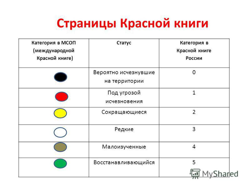 Естественная красота что это такое Естественная красота что это такое
