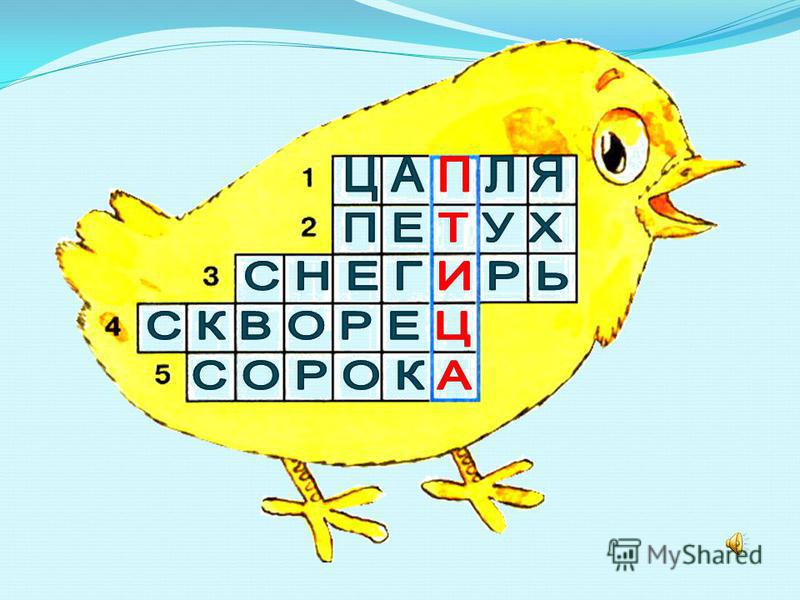 Какая погода на июль на байкале
