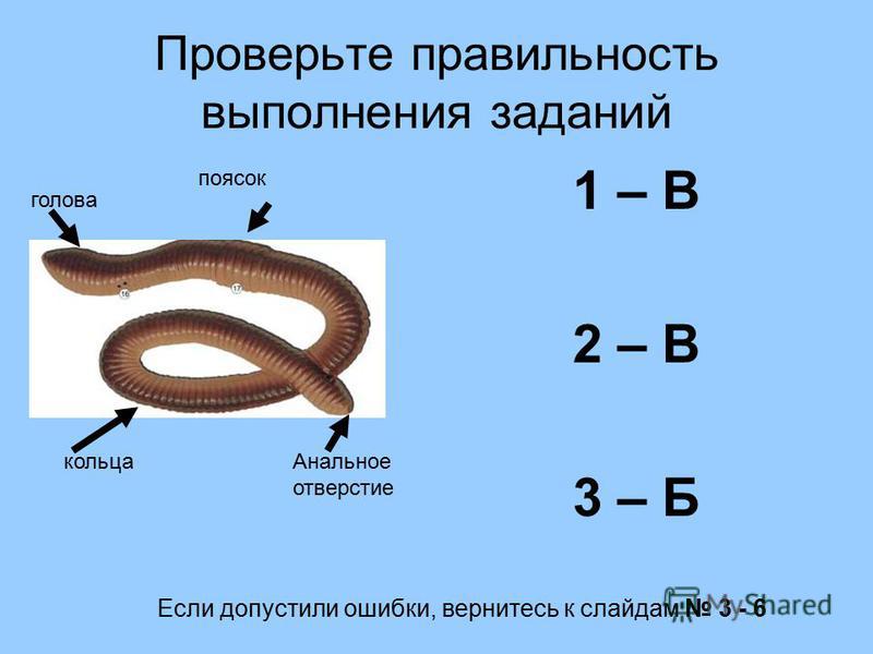 Русский мама и сын скрытая камера: смотреть русское порно