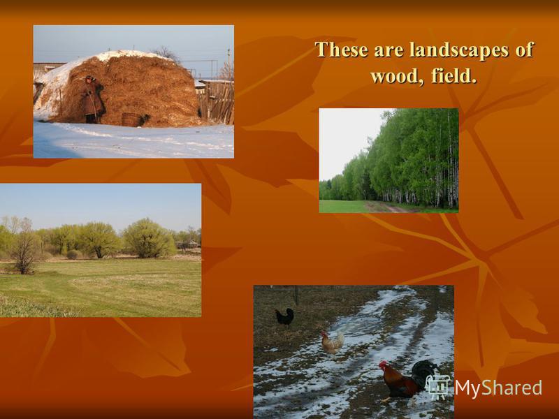 These are landscapes of wood, field.