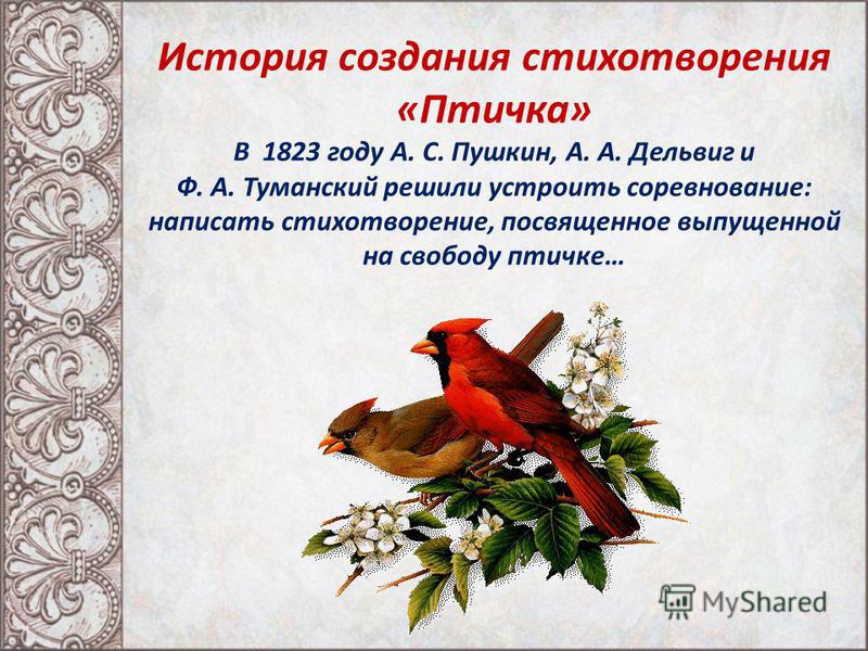 Птичка божия стих а пушкина Птичка божия стих а пушкина