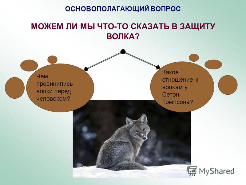 Э.Сетон-Томпсон Рассказы О Животных