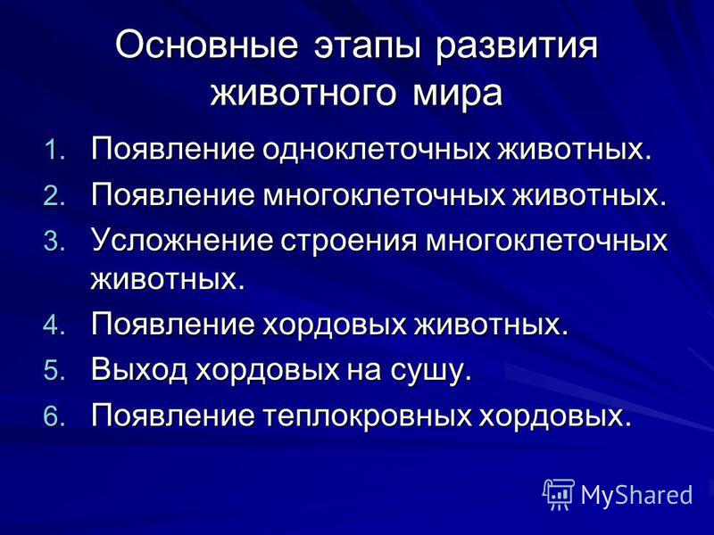 Назови основные стадии развития приведи примеры