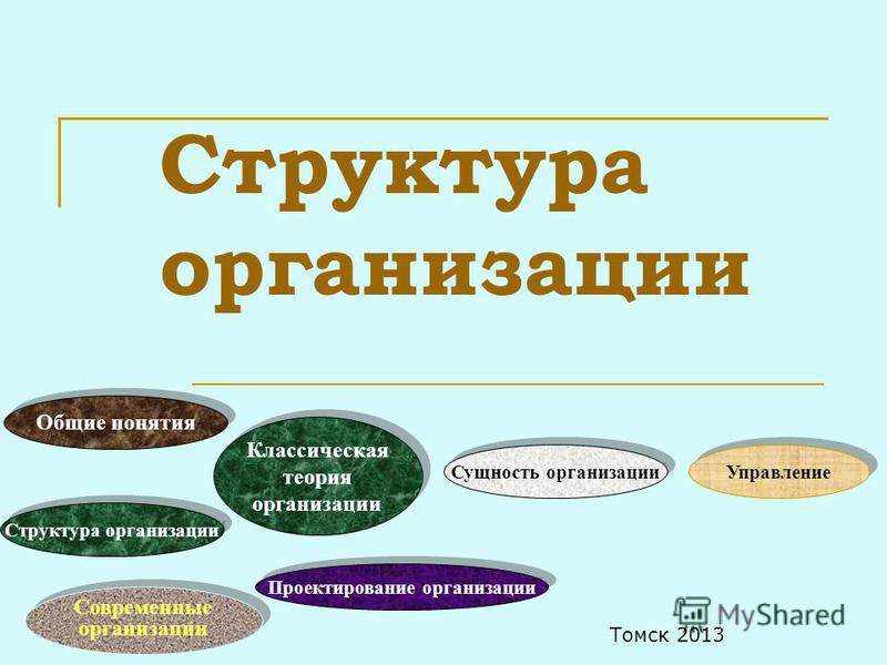 Виды организационной структуры управления проектом