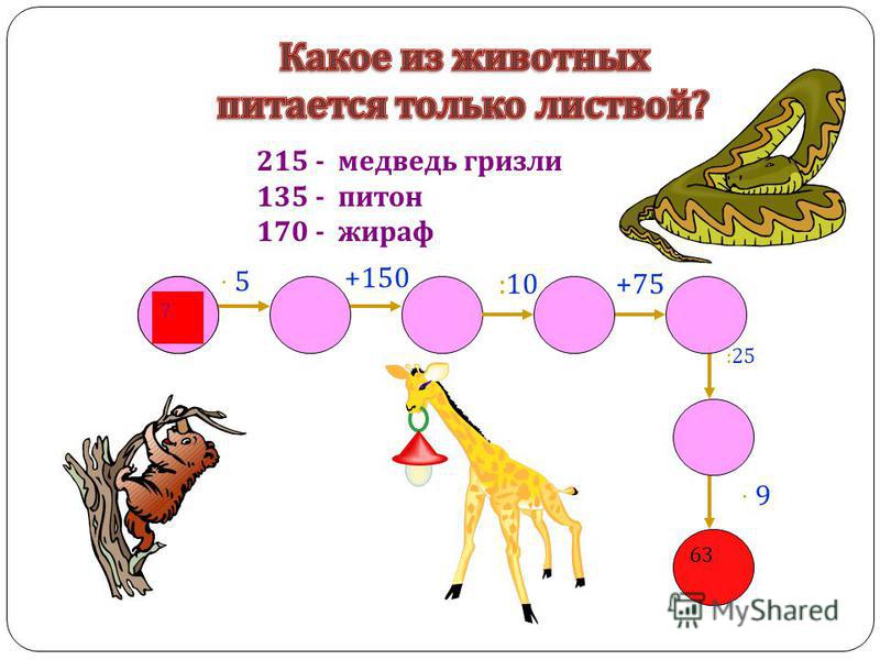 215 - медведь гризли 135 - питон 170 - жираф +150 12 · 5· 5 ? +75:10 · 9· 9 :25 63
