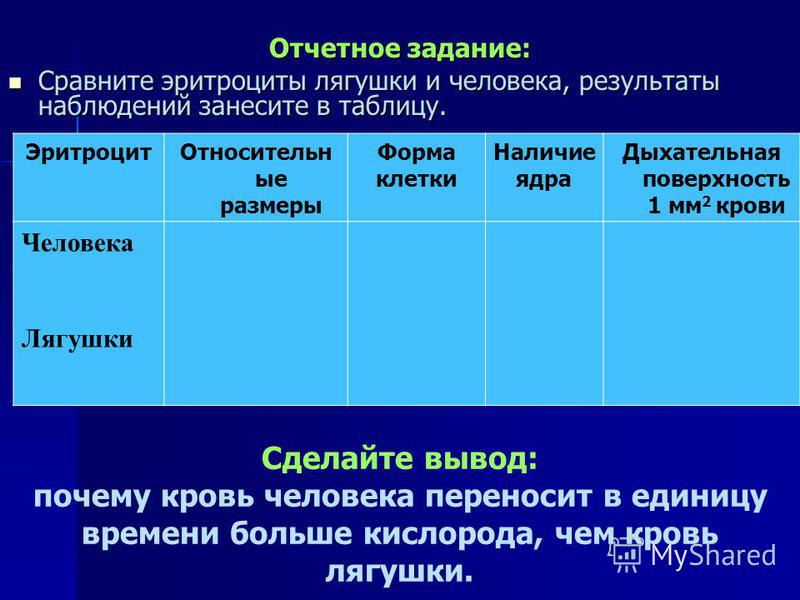Сравнение эритроцитов человека и лягушки таблица 8 класс фото - PwCalc.ru