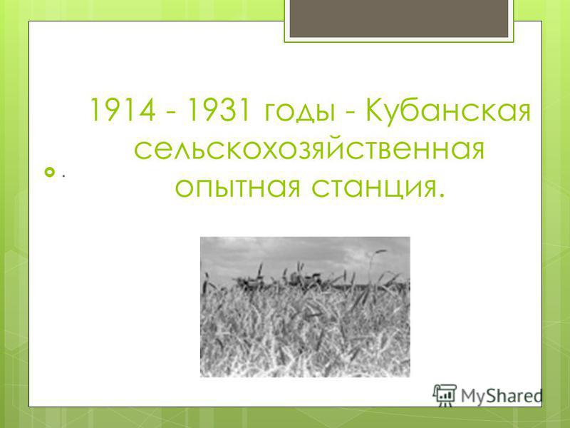 1914 - 1931 годы - Кубанская сельскохозяйственная опытная станция..